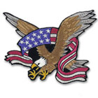 Eagle Patch